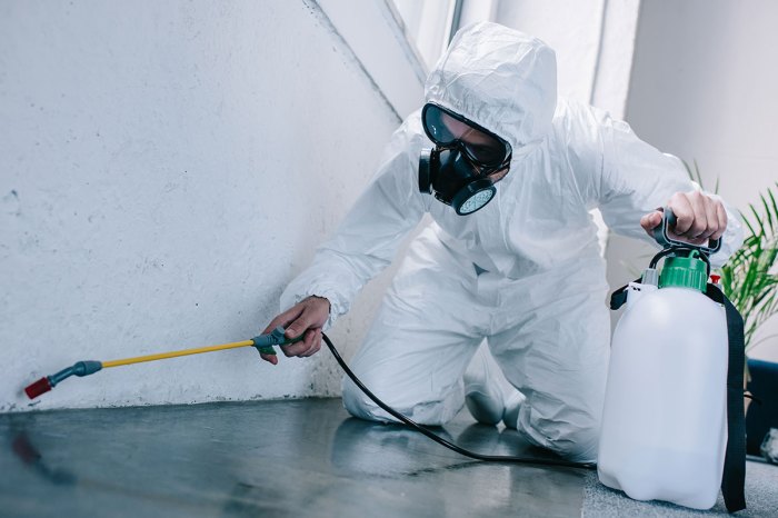 Pest control services for homes