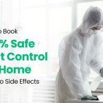 Pest control services for homes